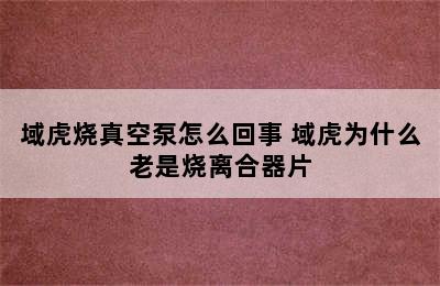 域虎烧真空泵怎么回事 域虎为什么老是烧离合器片